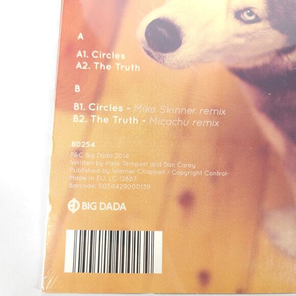 *Sealed* Kate Tempest Circles 12" Vinyl ft Remixes by Mike Skinner & Micachu - Picture 3 of 4